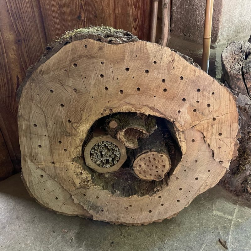 Hôtel à insectes